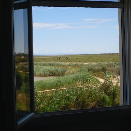 Chambre Les Flamants, Avec Vue Imprenable Sur Les Etangs, Les Oiseaux, La Nature, Petit Dejeuner Compris Saintes-Maries-de-la-Mer Exterior photo